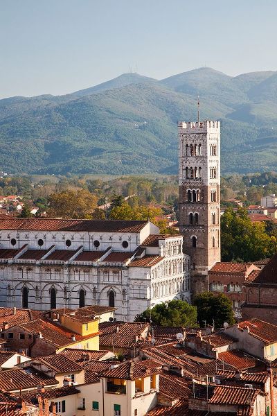 Eggers, Julie 아티스트의 Italy-Tuscany-Lucca The rooftops of the historic Lucca medieval bell tower of St Martin Cathedral작품입니다.